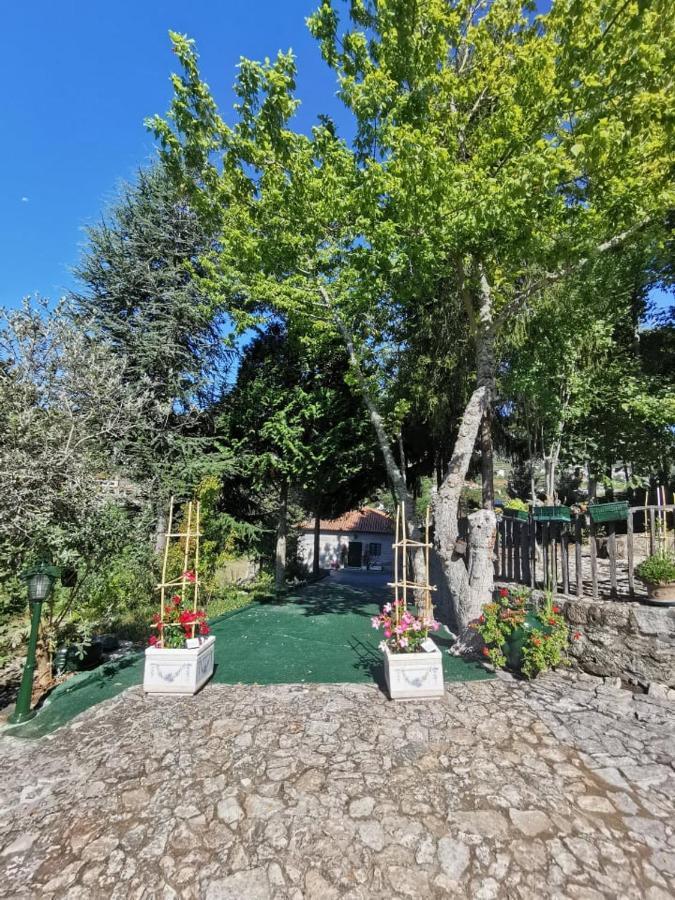 Вилла Quinta Da Cartida Santa Marinha do Zezere Экстерьер фото