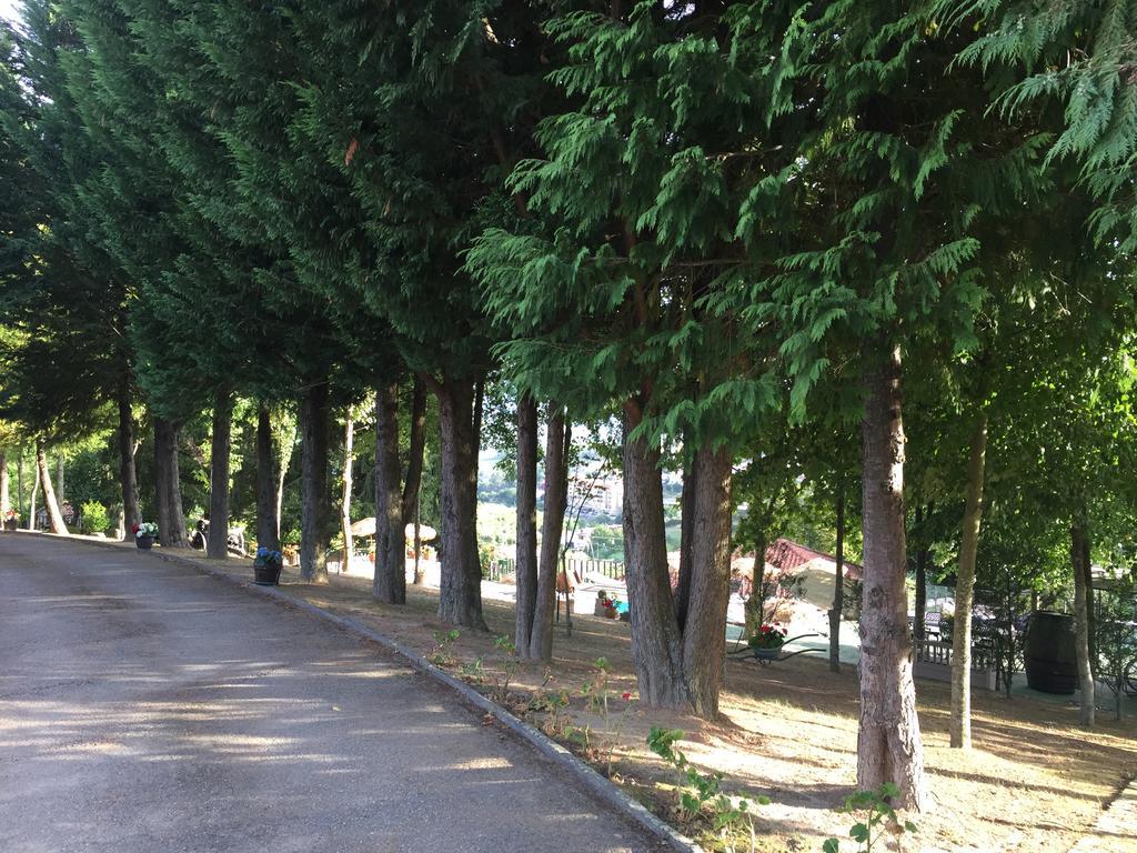 Вилла Quinta Da Cartida Santa Marinha do Zezere Экстерьер фото