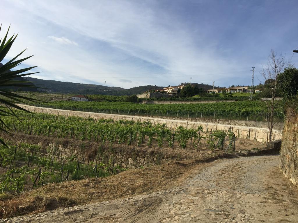 Вилла Quinta Da Cartida Santa Marinha do Zezere Экстерьер фото
